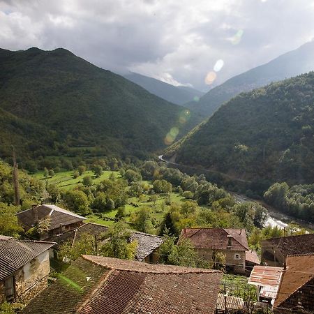 Radika View House Διαμέρισμα Galicnik Εξωτερικό φωτογραφία