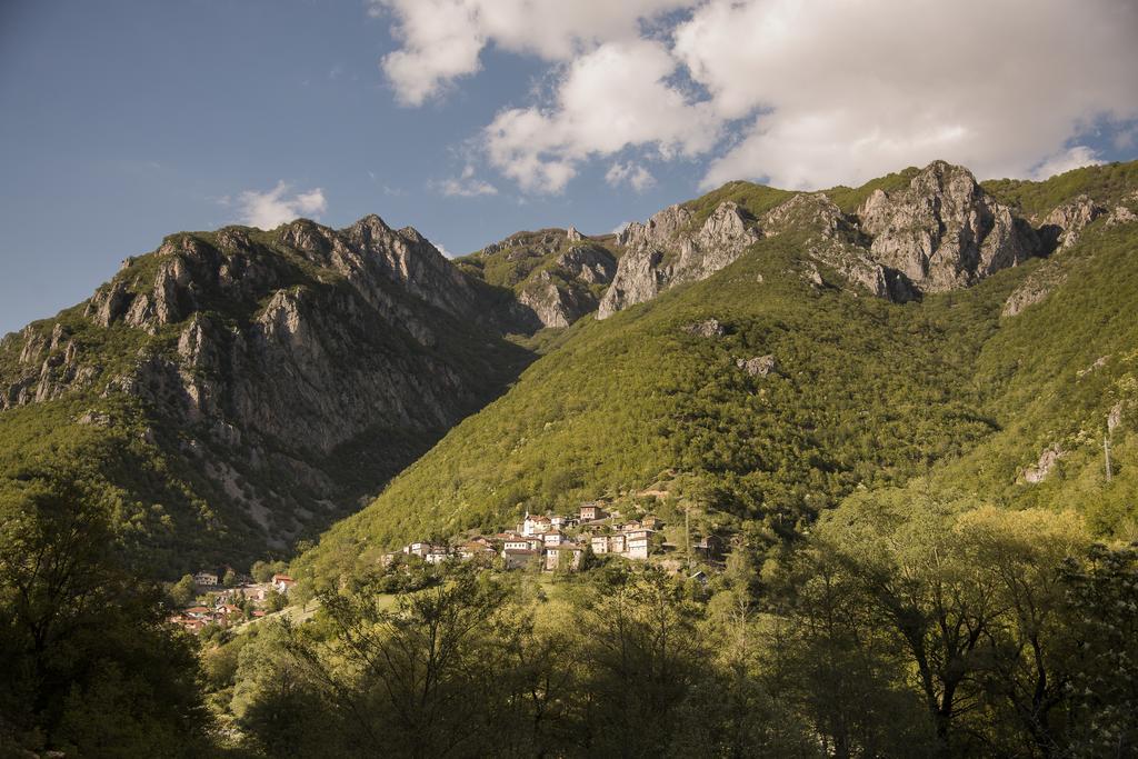 Radika View House Διαμέρισμα Galicnik Δωμάτιο φωτογραφία