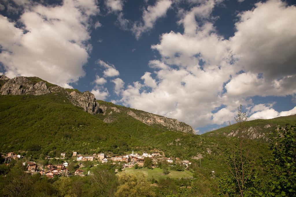 Radika View House Διαμέρισμα Galicnik Δωμάτιο φωτογραφία