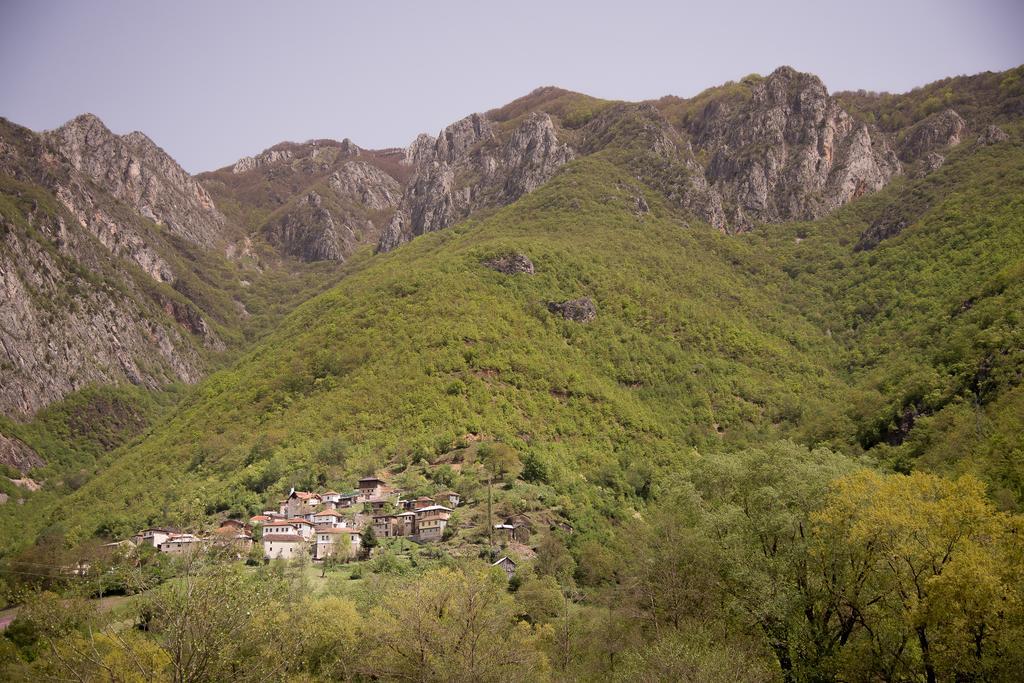 Radika View House Διαμέρισμα Galicnik Δωμάτιο φωτογραφία
