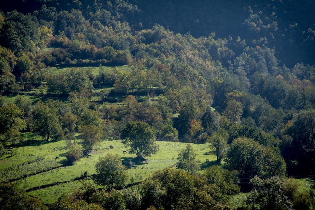 Radika View House Διαμέρισμα Galicnik Εξωτερικό φωτογραφία