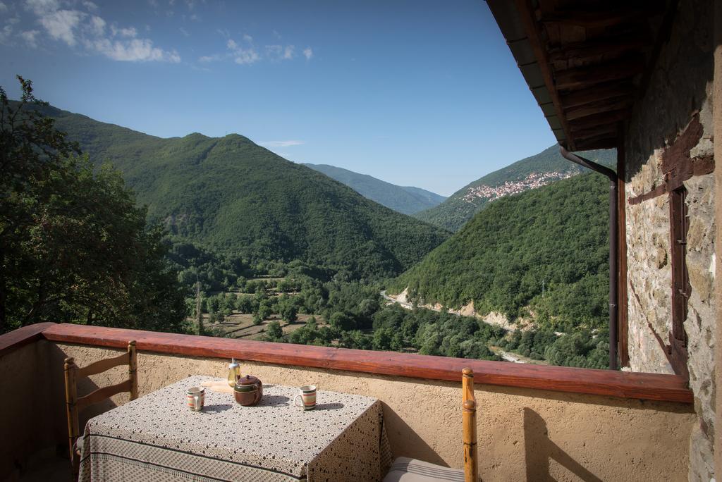 Radika View House Διαμέρισμα Galicnik Εξωτερικό φωτογραφία